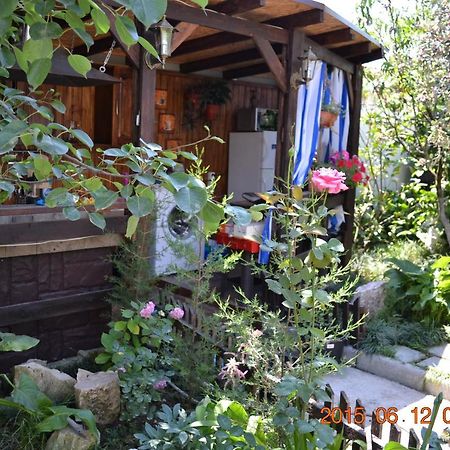 U Palycha Guest House Sukhumi Exterior photo