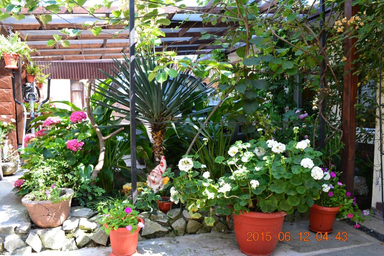 U Palycha Guest House Sukhumi Exterior photo