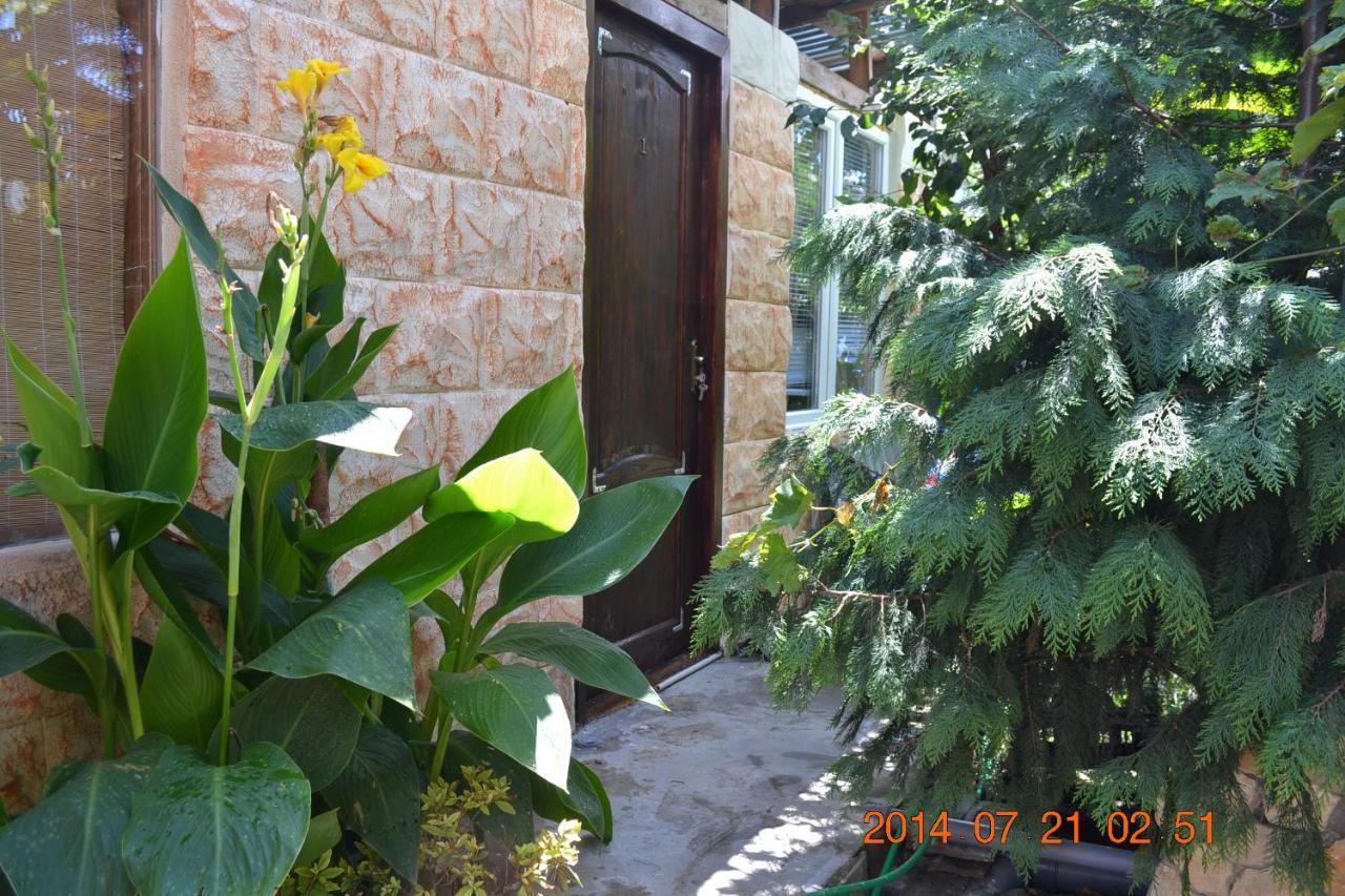 U Palycha Guest House Sukhumi Exterior photo